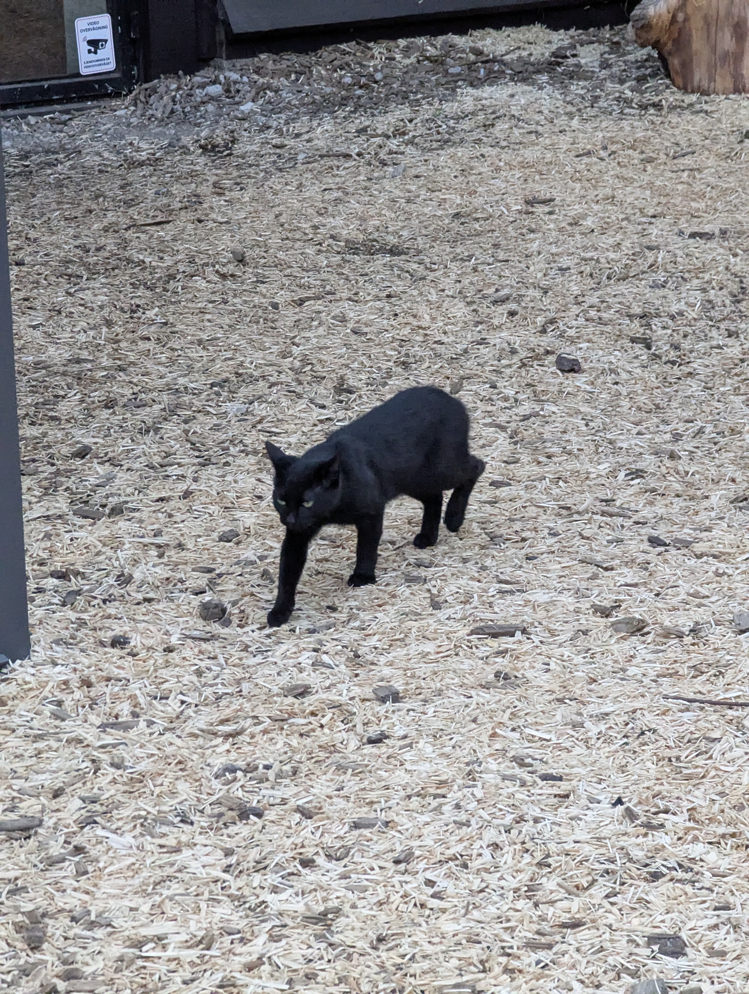 Lyngby, Copenhagen, Barn Party, Denmark
